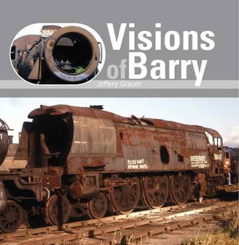 Cover image for Visions of Barry