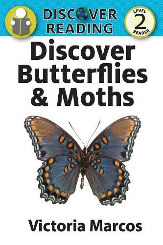 Cover image for Discover Butterflies & Moths