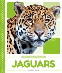 Cover image for Jaguars