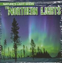 Cover image for The Northern Lights