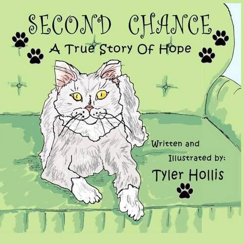 Cover image for Second Chance: A True Story of Hope