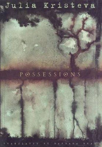 Cover image for Possessions