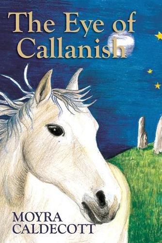 Cover image for The Eye of Callanish