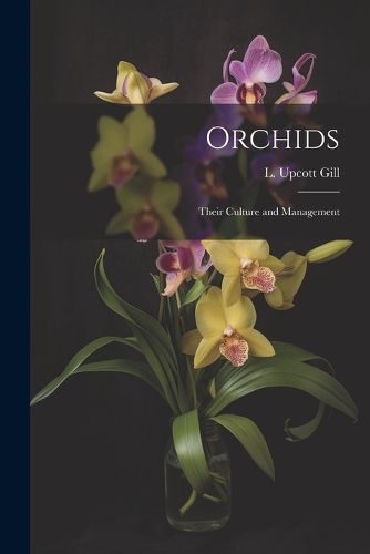 Cover image for Orchids