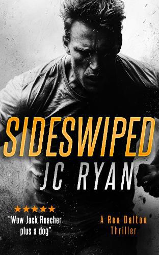 Cover image for Sideswiped