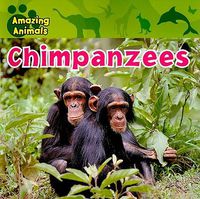 Cover image for Chimpanzees