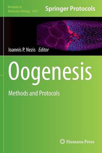 Cover image for Oogenesis: Methods and Protocols