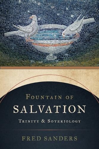 Fountain of Salvation: Trinity and Soteriology