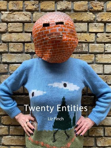 Cover image for Twenty Entities