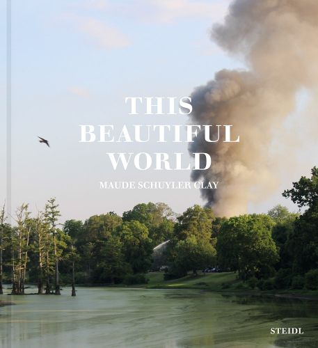 Cover image for This Beautiful World