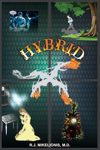 Cover image for Hybrid