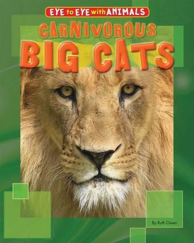 Cover image for Carnivorous Big Cats