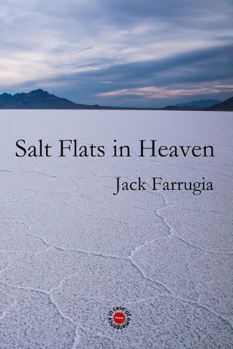 Cover image for Salt Flats in Heaven