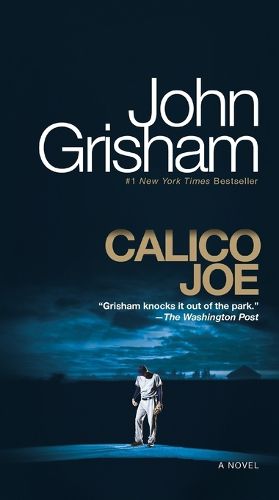 Cover image for Calico Joe: A Novel