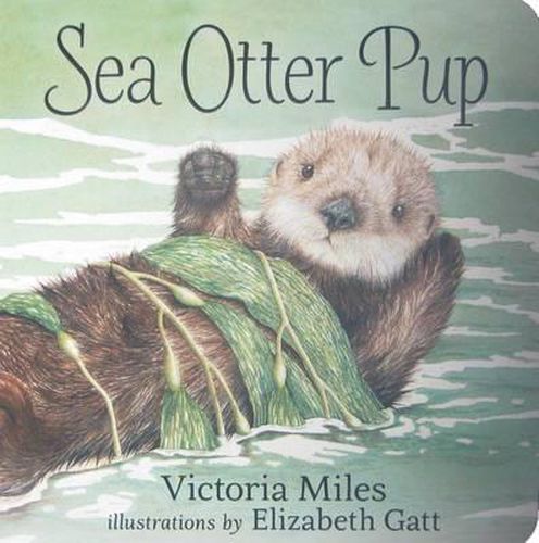 Cover image for Sea Otter Pup