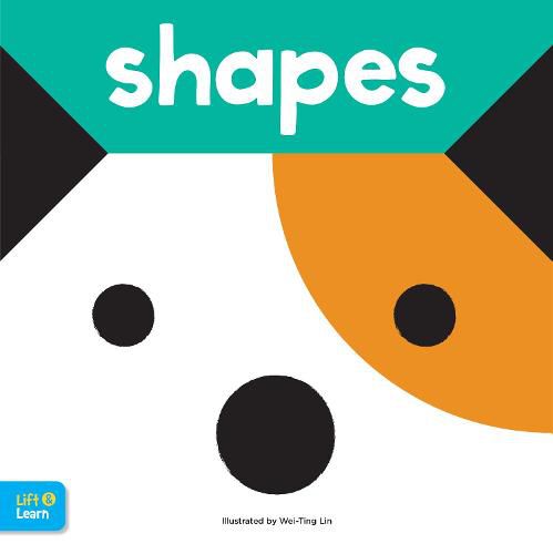 Shapes Lift & Learn: Interactive flaps reveal basic concepts for toddlers