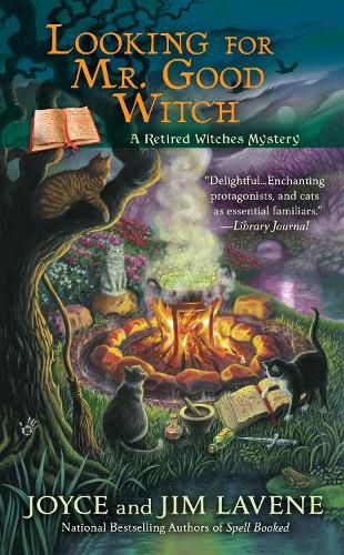 Cover image for Looking for Mr. Good Witch