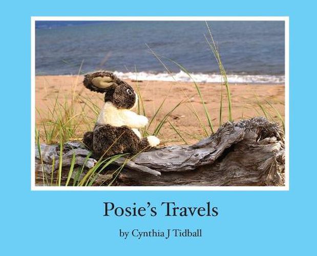 Cover image for Posie's Travels