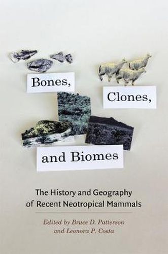 Cover image for Bones, Clones, and Biomes: The History and Geography of Recent Neotropical Mammals