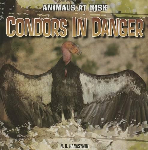 Cover image for Condors in Danger