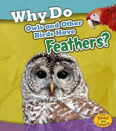 Cover image for Why Do Owls and Other Birds Have Feathers? (Animal Body Coverings)