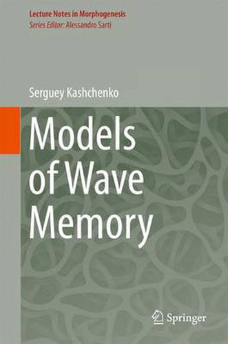 Cover image for Models of Wave Memory