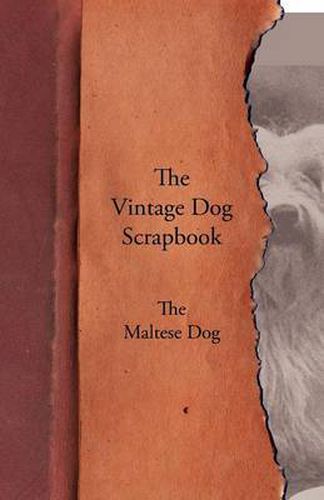 Cover image for The Vintage Dog Scrapbook - The Maltese