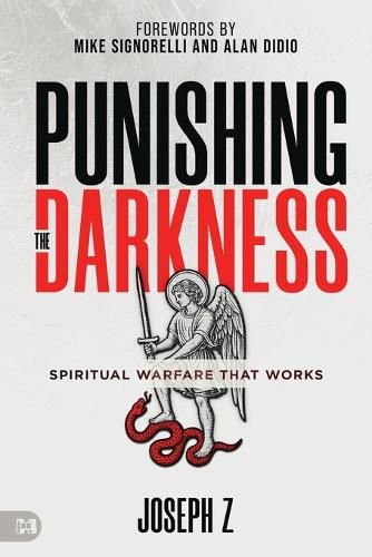Cover image for Punishing the Darkness