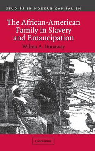 Cover image for The African-American Family in Slavery and Emancipation