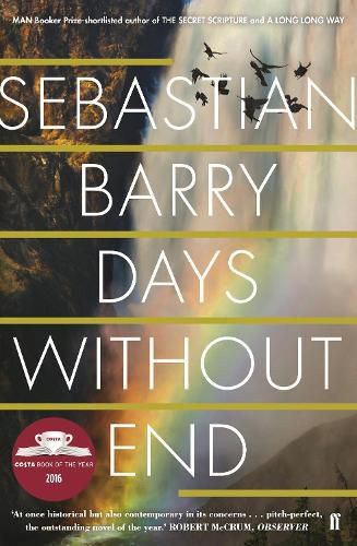 Cover image for Days Without End