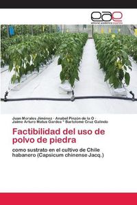 Cover image for Factibilidad del uso de polvo de piedra