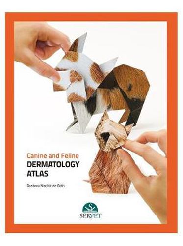 Cover image for Canine and Feline Dermatology Atlas