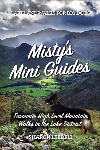 Cover image for Misty's Mini Guides