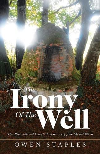 Cover image for The Irony of the Well