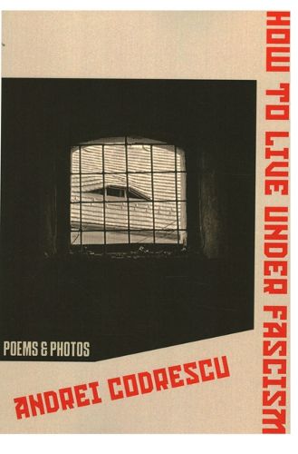 Cover image for How to Live Under Facism