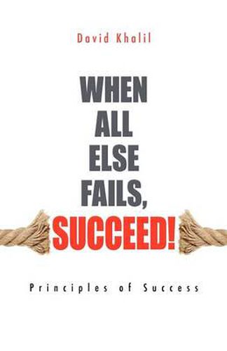 Cover image for When All Else Fails, Succeed!