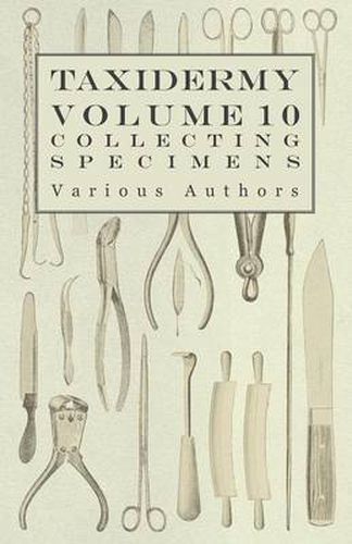Cover image for Taxidermy Vol.10 Collecting Specimens - The Collection and Displaying Taxidermy Specimens