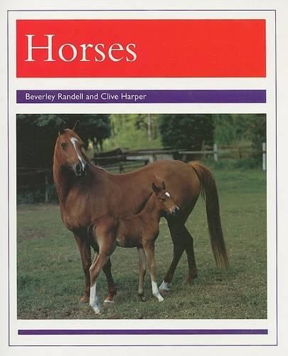 Cover image for Animals - Horses: Individual Student Edition Purple (Levels 19-20)