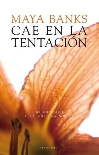 Cover image for Cae En La Tentacion