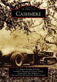 Cover image for Cashmere