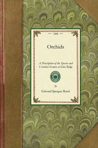 Cover image for Orchids