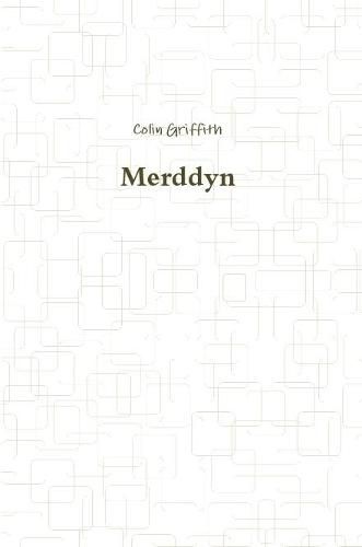 Merddyn