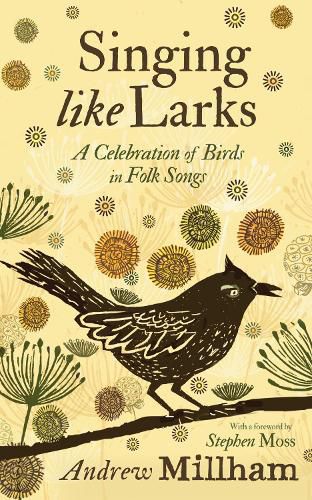 Cover image for Singing Like Larks