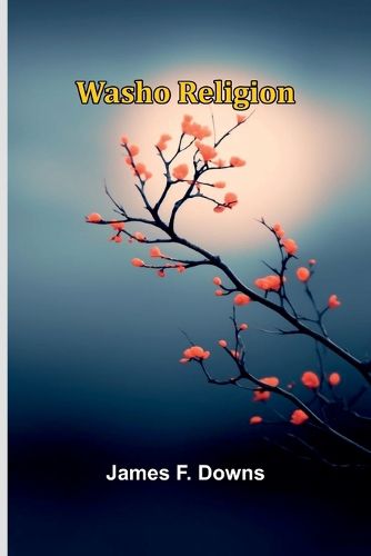 Cover image for Washo Religion
