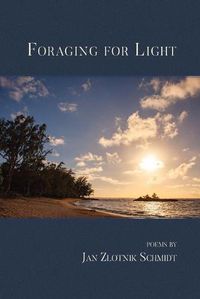 Cover image for Foraging for Light