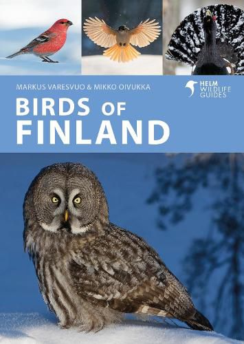 Cover image for Birds of Finland