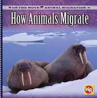 Cover image for How Animals Migrate