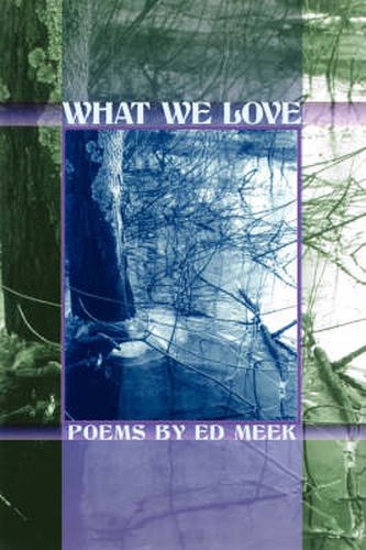 Cover image for What We Love