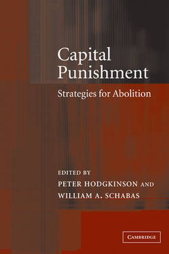 Cover image for Capital Punishment: Strategies for Abolition