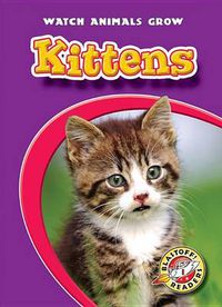 Cover image for Kittens